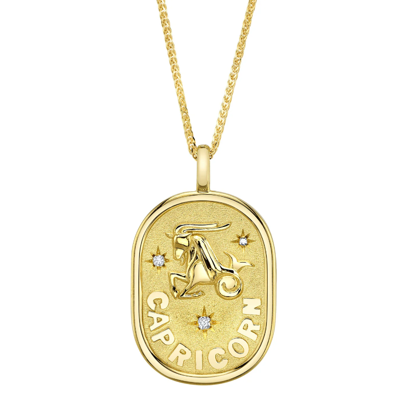 Capricorn Necklace